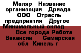 Маляр › Название организации ­ Дриада, ООО › Отрасль предприятия ­ Другое › Минимальный оклад ­ 18 000 - Все города Работа » Вакансии   . Самарская обл.,Кинель г.